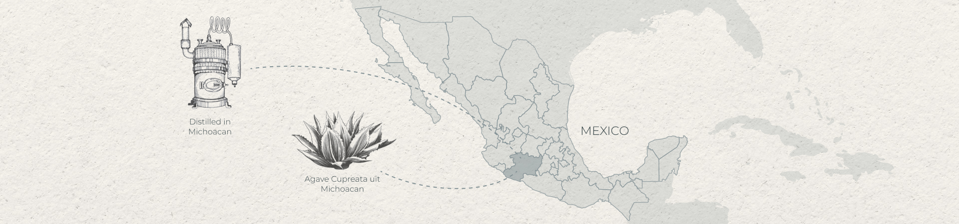 NL Agave Cupreata from Michoacan Distilled in Michoacan